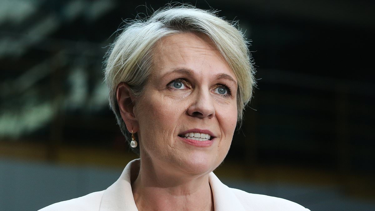 Services Australia: Millions of Aussies on social services payments set for cash boost
