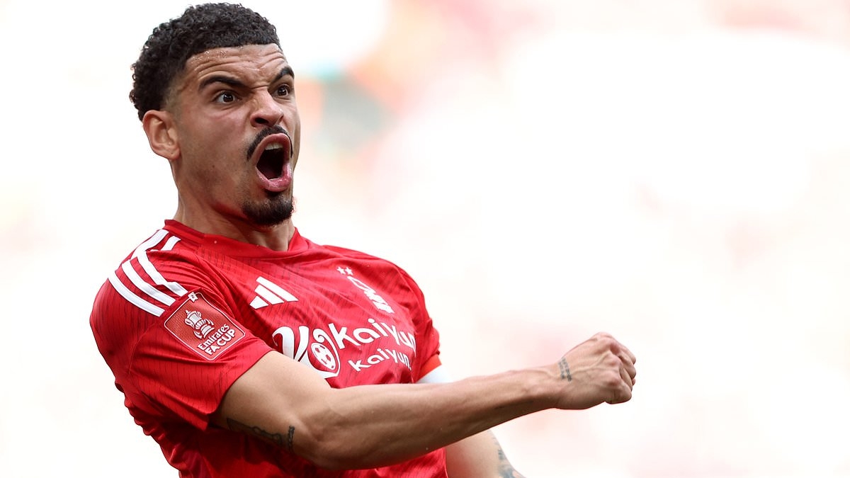 Nottingham Forest Q&A transfer special: Is Morgan Gibbs-White Man City-bound? What does that mean for Anthony Elanga? And what's the latest on Nuno Espirito Santo's new deal?