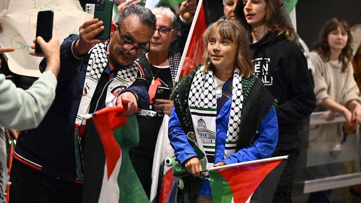 Greta Thunberg's own statements accusing Israel of 'illegal acts'