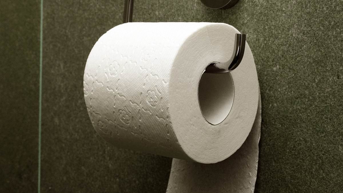 Toilet paper over or under? Scientist FINALLY settles the debate - so, do you agree with their method?