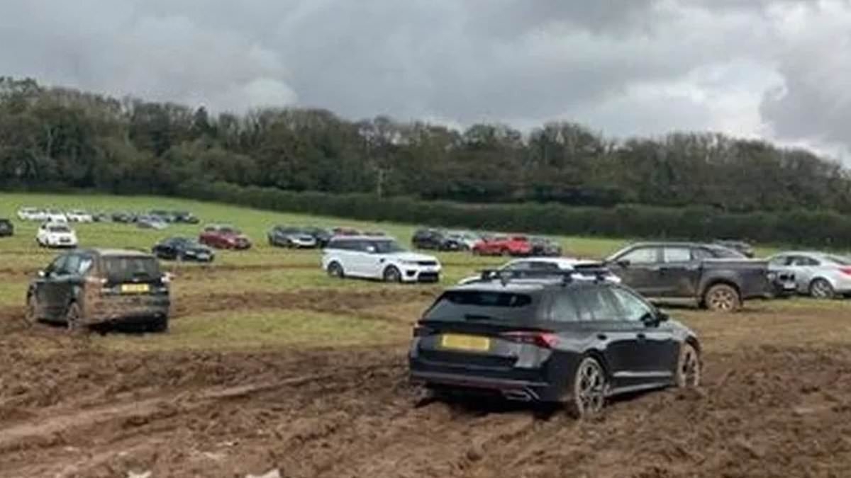 Holidaying families were stranded for hours by airport parking rogues - then got their cars back with mystery extra mileage after some were used in parking and driving offences