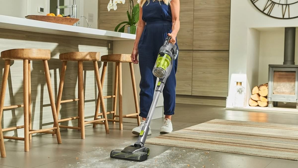 Shoppers say this vacuum is so powerful it could ‘suck the spots off a leopard' - and it's now on sale with HUGE savings