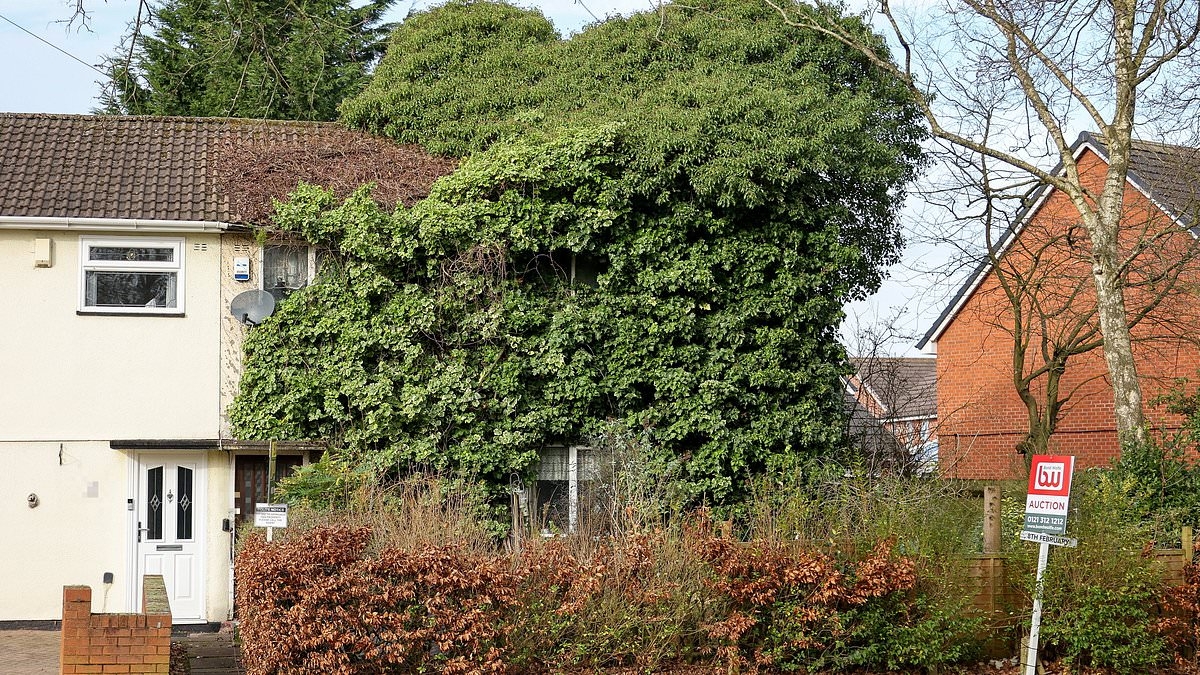 Home overgrown by trees, weeds and ivy is finally cleared up after 40 years in the undergrowth