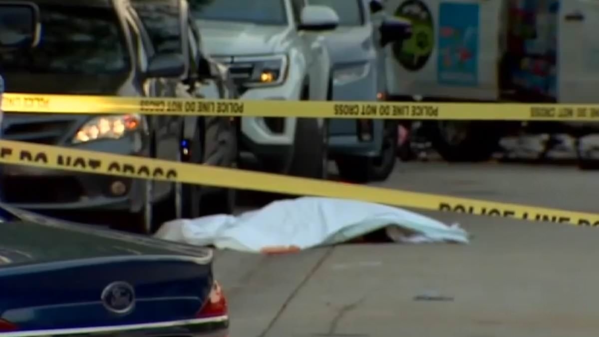 Unbelievable bloodbath caught on camera after pedestrian walking down Florida street encountered evil driver