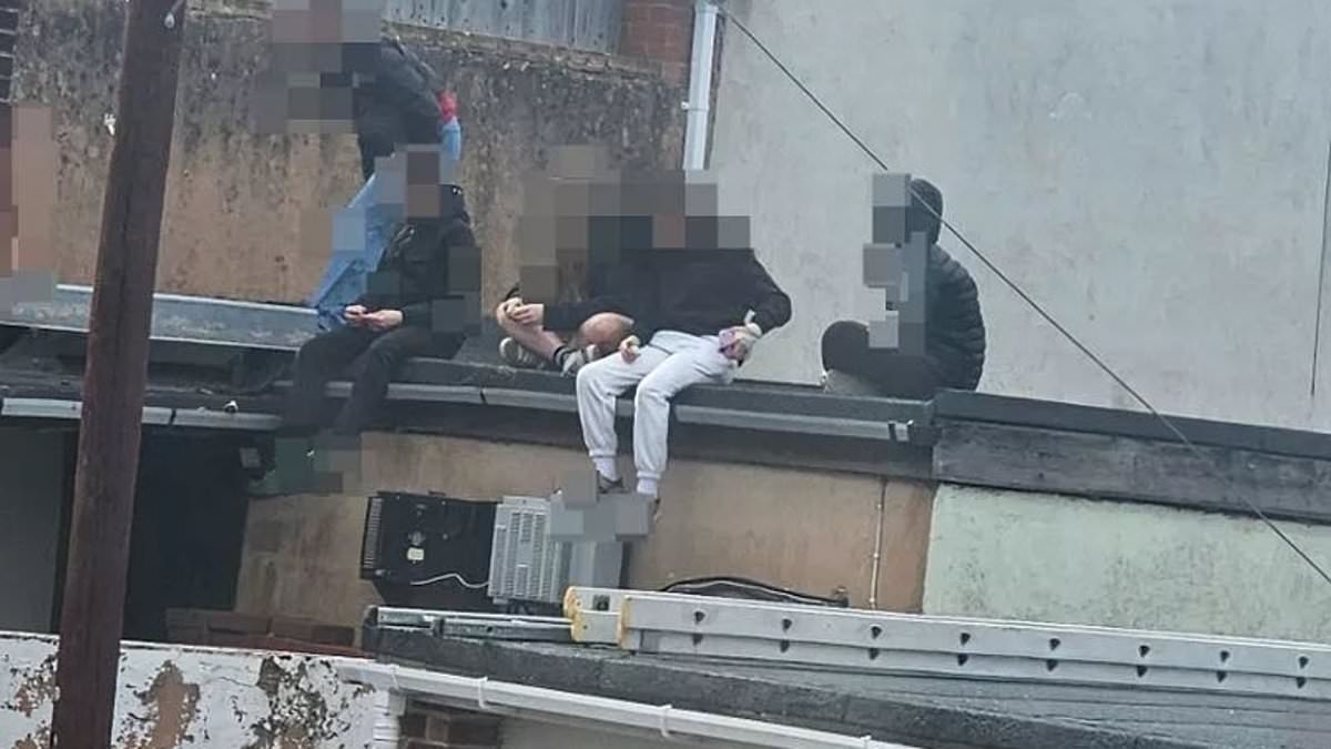 Feral gang of roof-hopping teenage girls terrorise neighbourhood as they climb over buildings, hurl bricks and run through gardens