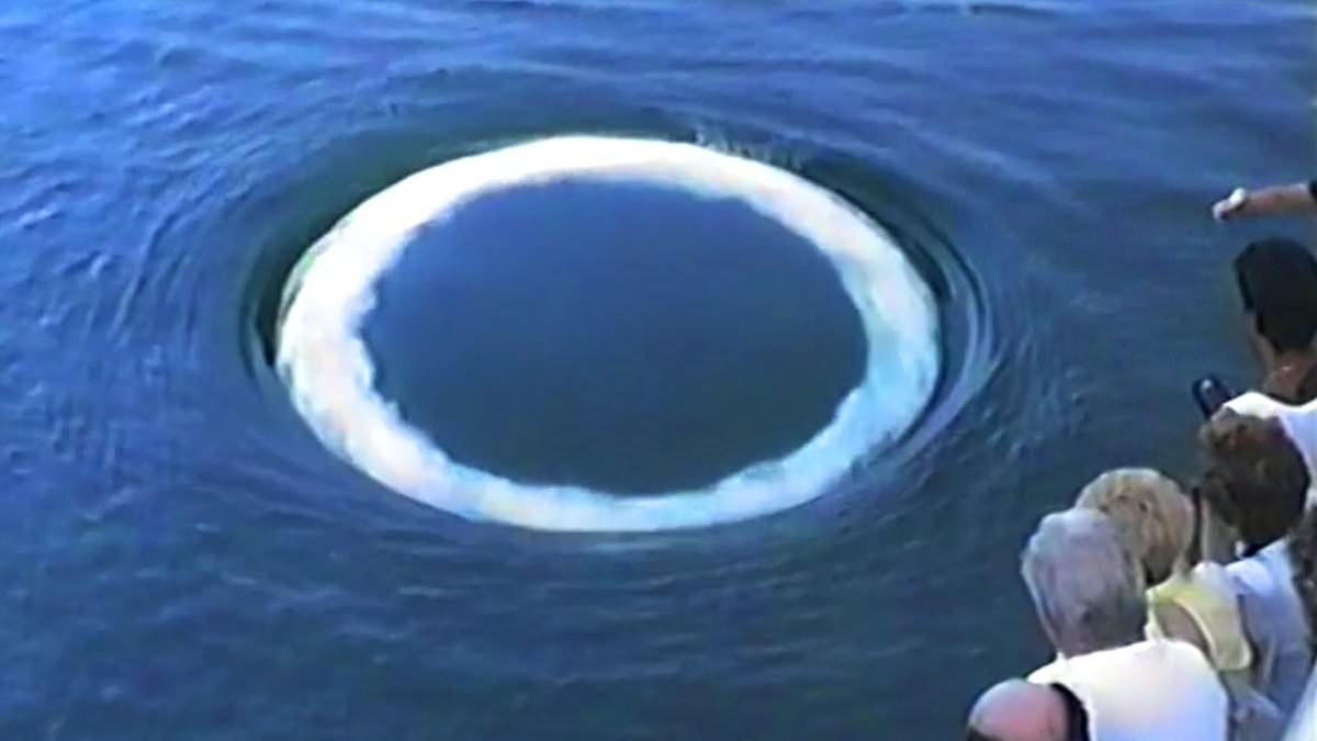 Scientists identify strange 'communication' of non-human intelligence in Earth's oceans