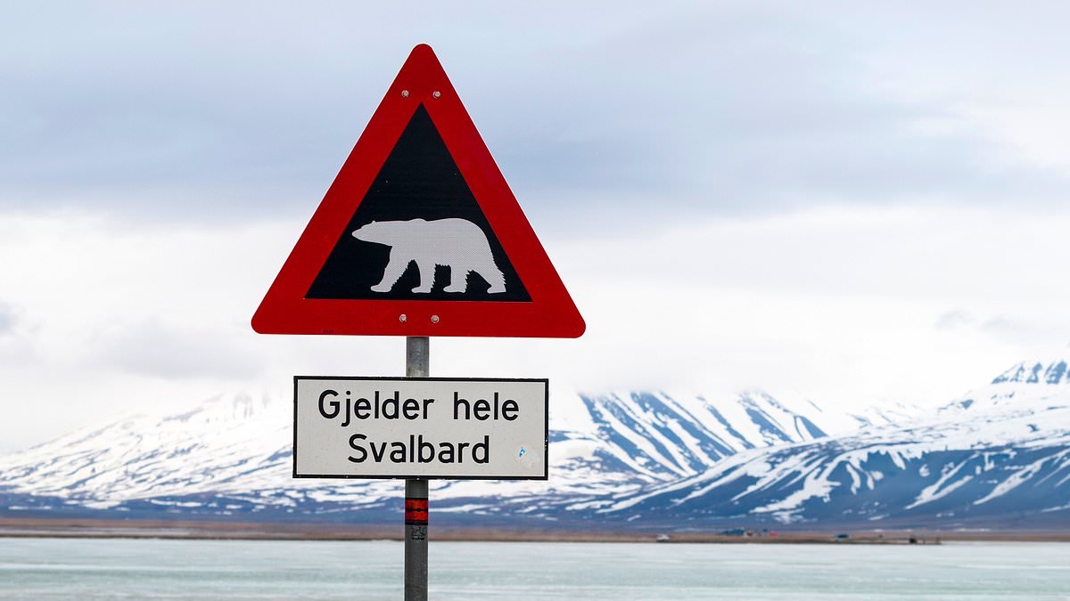 Europe's most misunderstood road signs