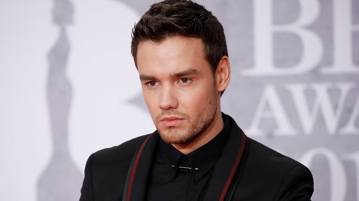 Liam Payne fans heartbroken as late One Direction singer's Netflix show gets release date