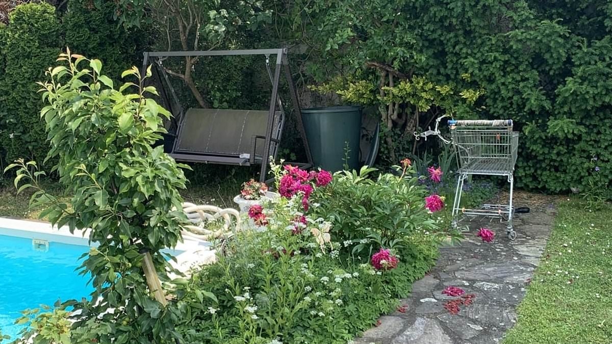 Simple garden photo has a white cat hidden in plain sight - can you spot it in 30 seconds?