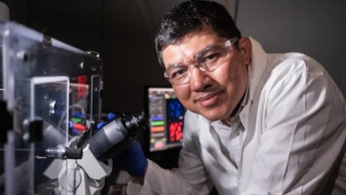 Cancer breakthrough as doctors unveil way to zap tumors into oblivion without chemo