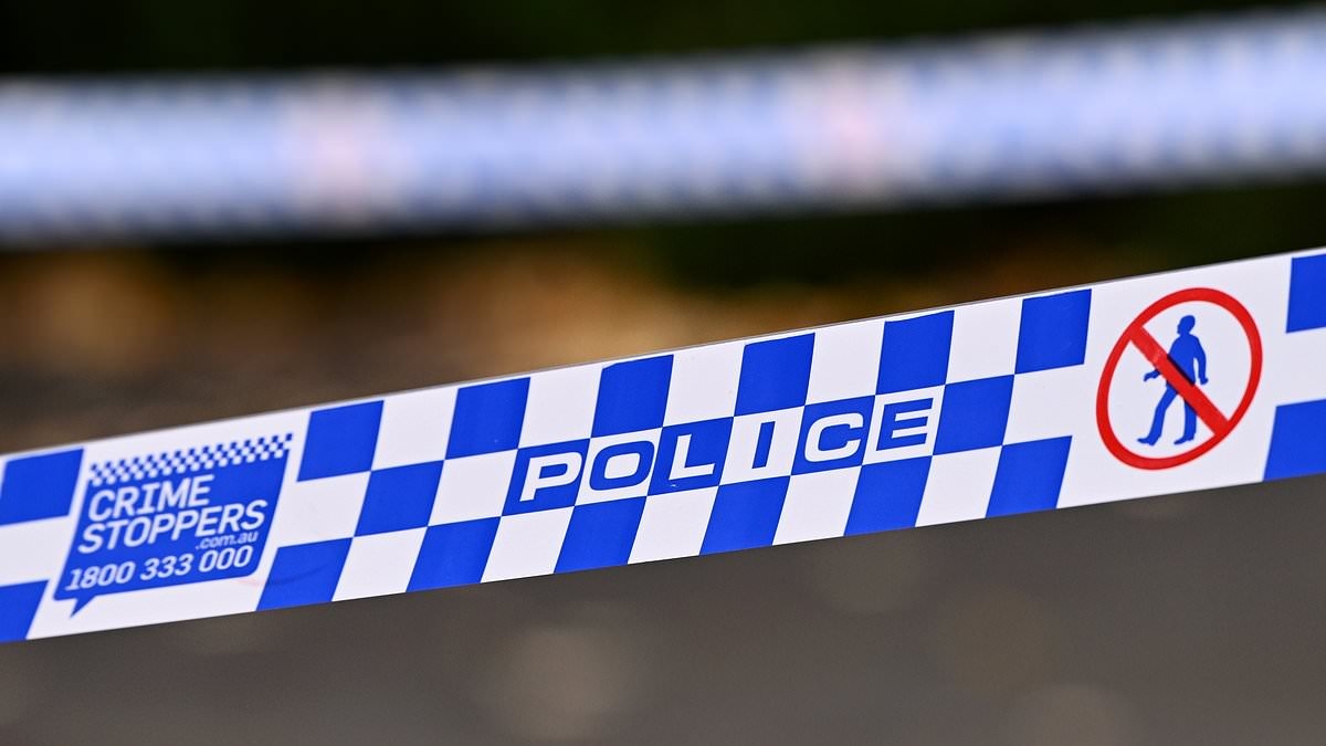 EXCLUSIVE The shocking link between a grandmother and a young mum she allegedly ran off the road before stabbing her and a child