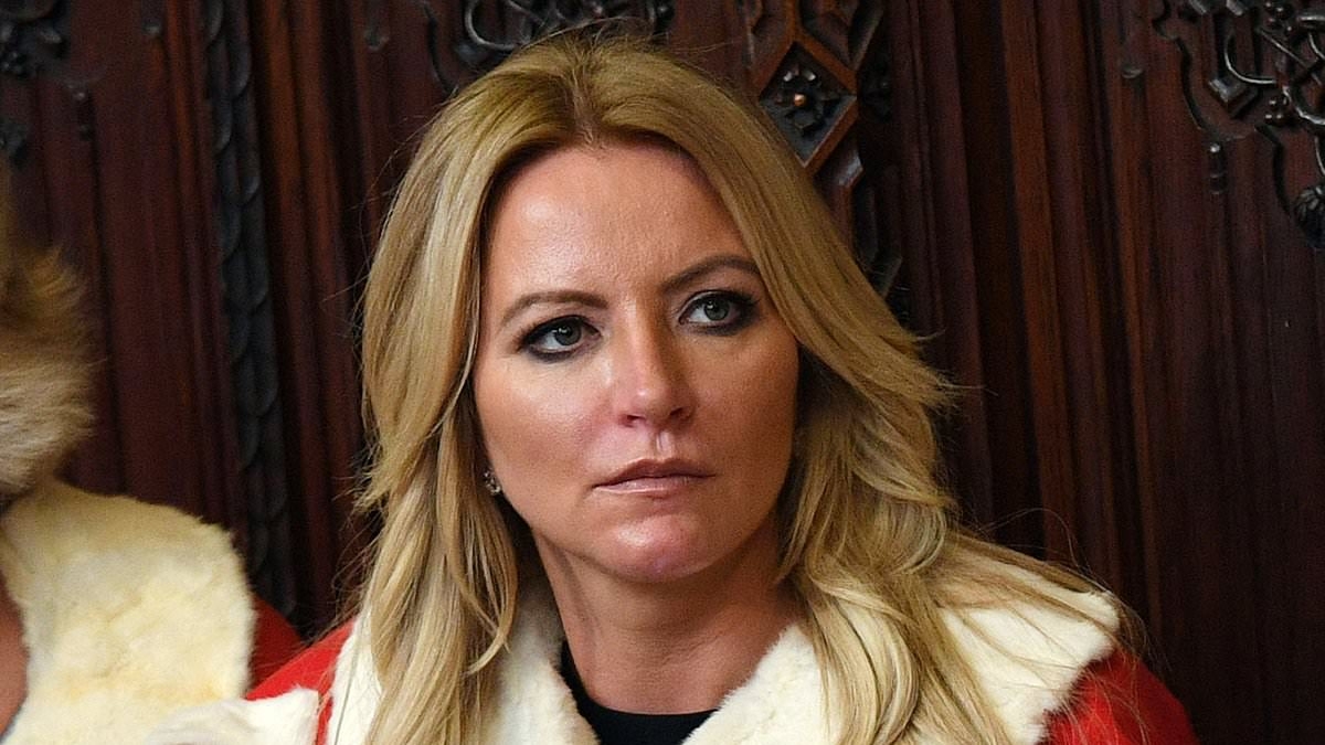 Firm linked to Baroness Bra 'must pay back £122m for faulty PPE': Government suing over Covid contract 'initiated' by Tory peer