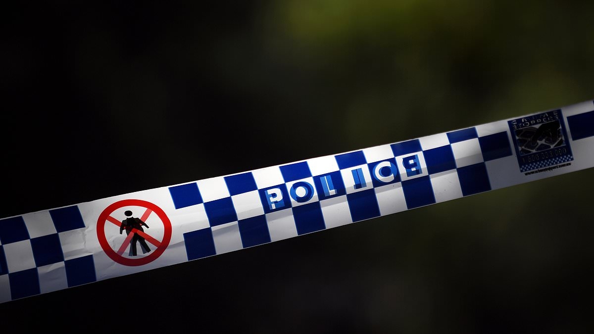 BREAKING NEWS Merrylands house is sprayed with bullets and car set on fire as cops probe 'underworld' link
