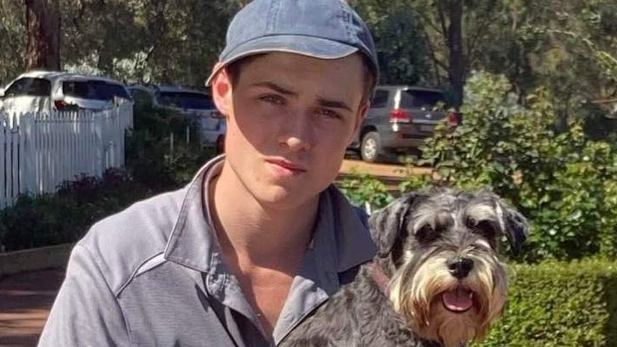 Major development in case of missing 21-year-old man - after his family used a drone to send him a desperate plea to return home