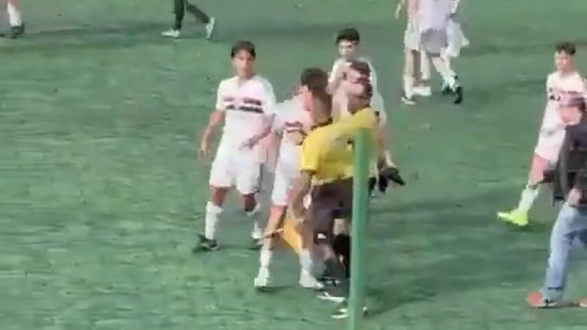 Incredible scenes as Brazilian youth match descends into mass brawl with Military Police called to the scene after linesman lashes out at teenage player