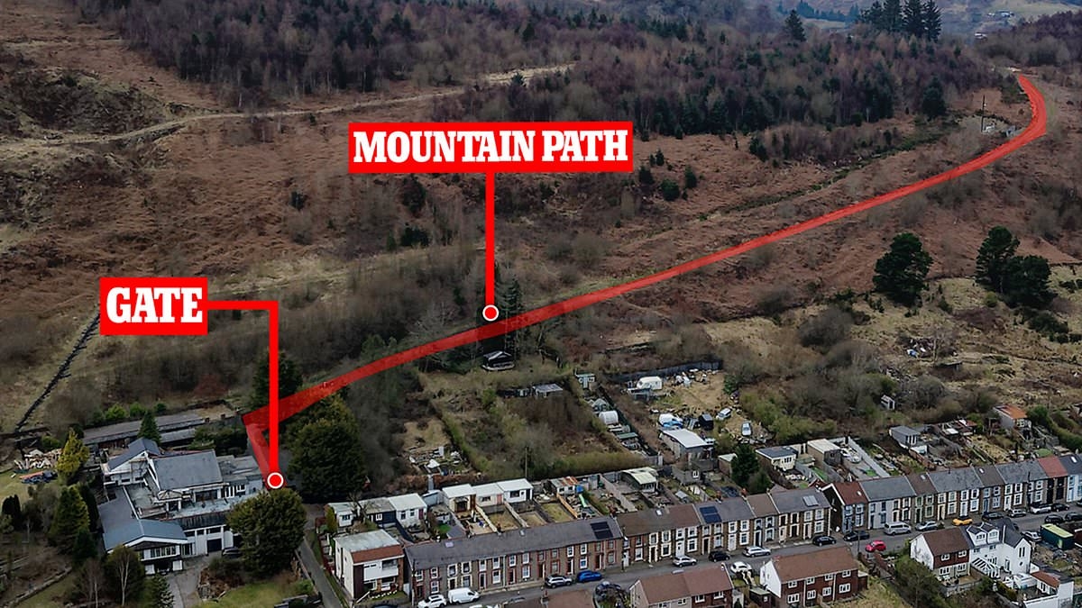 EXCLUSIVE A gate too far! Couple who lost bitter war against neighbours over Bond-villain mansion finally remove illegal barrier after failing in their attempt to create a new access route