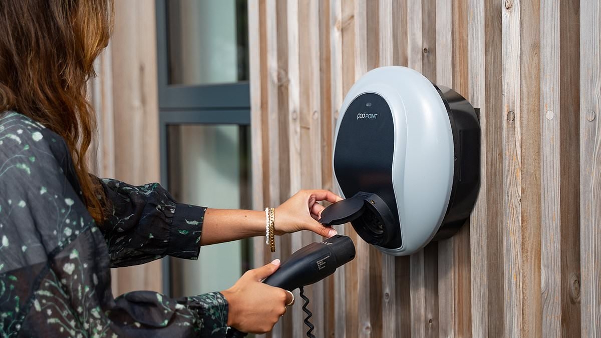 EDF to buy Pod Point as weak EV sales see charger firm's losses mount