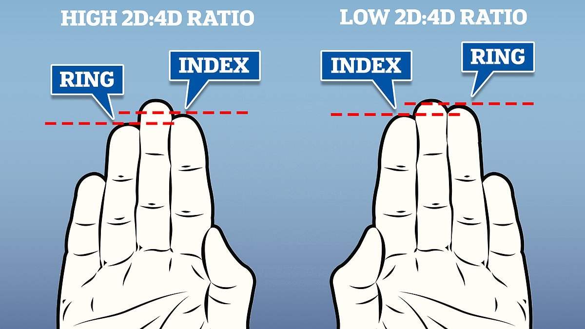 Revealed: What the length of your fingers says about you, according to science