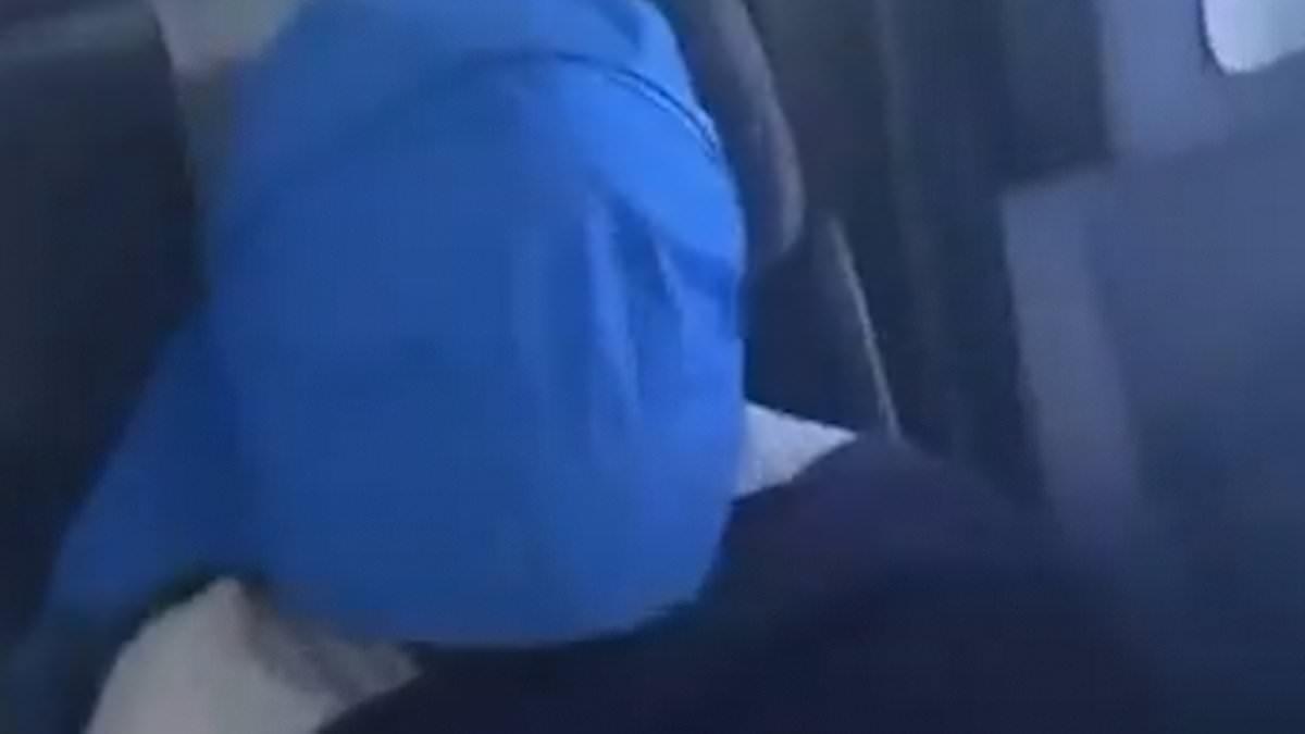 Awkward moment Greta Thunberg covers her head as she is flown out of Israel after failed bid to reach Gaza - and pilot praises IDF and wishes for the return of all hostages over the tanoy