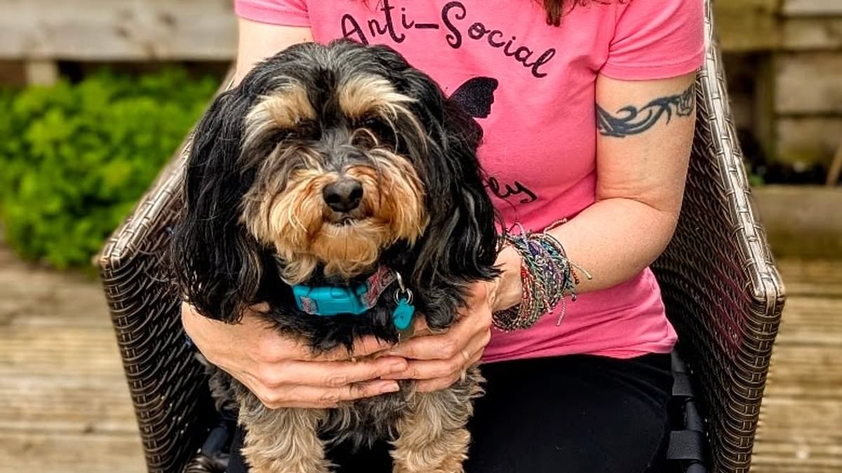 EXCLUSIVE The vet misdiagnosed my dog and made us spend £2,500 on pointless treatments before recommending he was put down - all he needed was rest