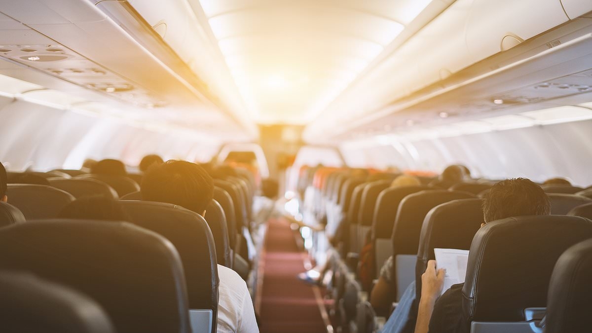 What happens to the body during a fatal plane crash