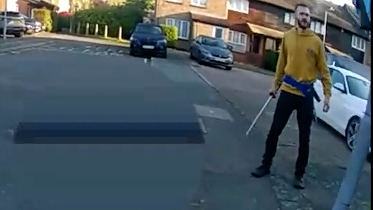 Moment 'killer' attacks police officers with samurai sword as they try to arrest him after schoolboy was slashed to death in street
