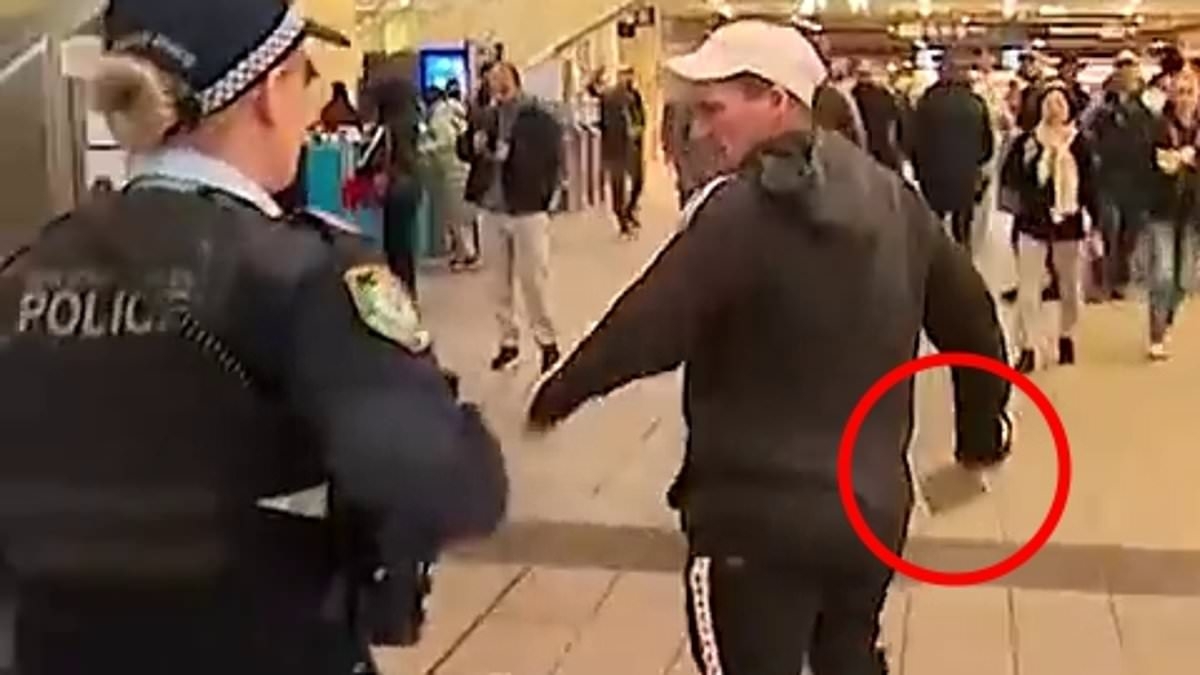 Parramatta Station chaos as man wielding meat cleaver terrifies commuters