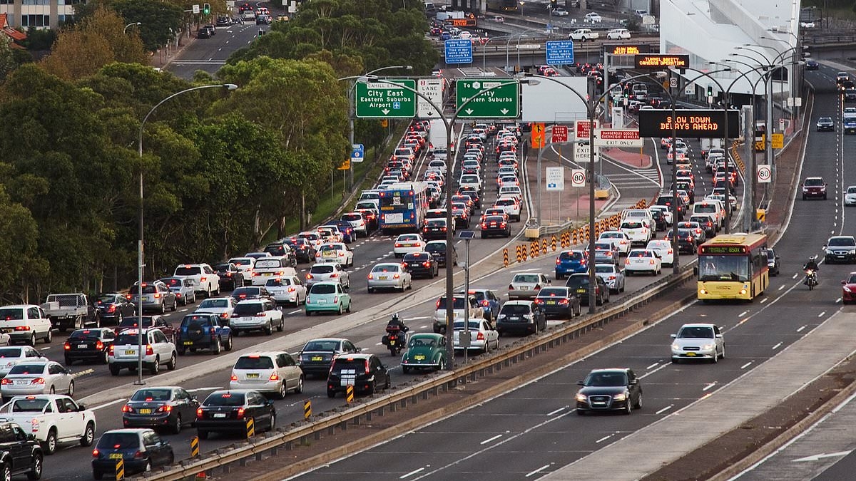 EXCLUSIVE The AI predictions every Aussie needs to know - including the high-paying jobs that won't be impacted - amid warning the country will be unrecognisable in 10 years