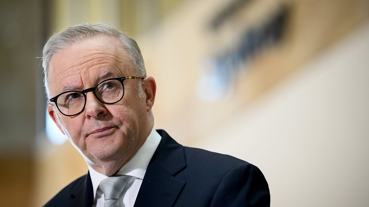 Albo's government has just made a decision that will infuriate every sports fan in Australia