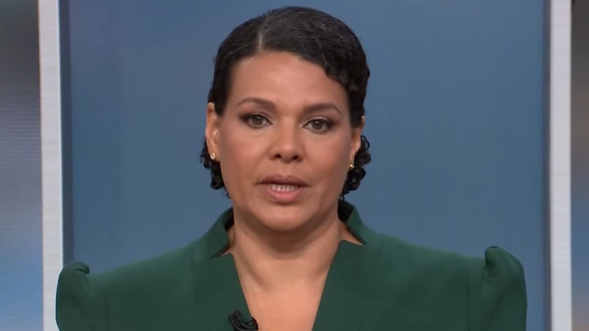 CNN's Sara Sidner breaks down as she shares emotional tribute to MTV VJ Ananda Lewis