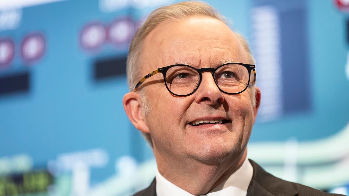 Albanese still awaiting crucial meeting with Donald Trump