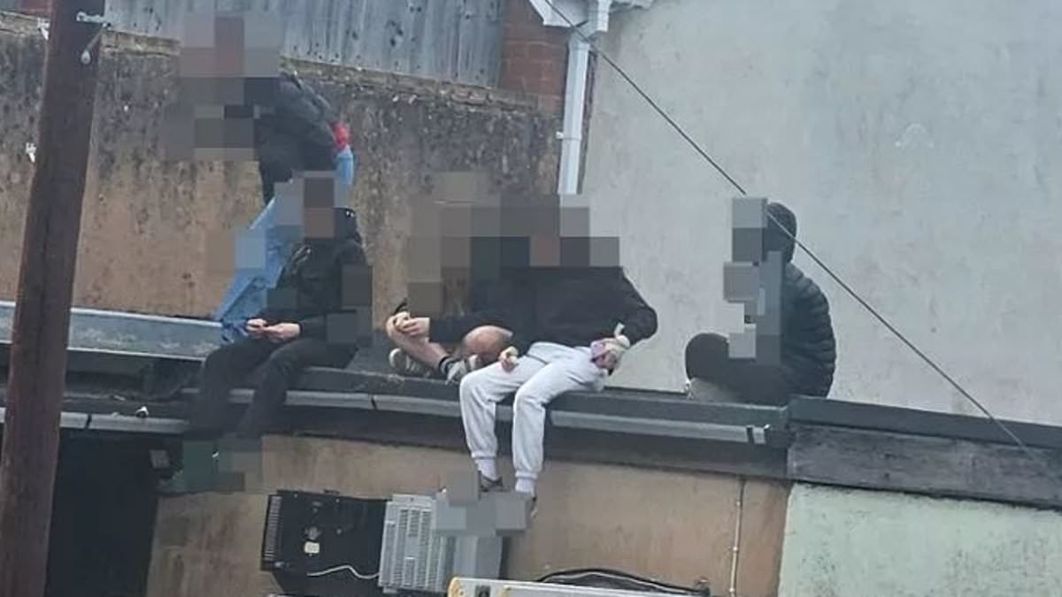 EXCLUSIVE We're being terrorised by a 'feral' GIRL GANG: Desperate locals claim wild teens nicknamed 'the little s****' are trashing shops, slashing tires and going on Prosecco rampage