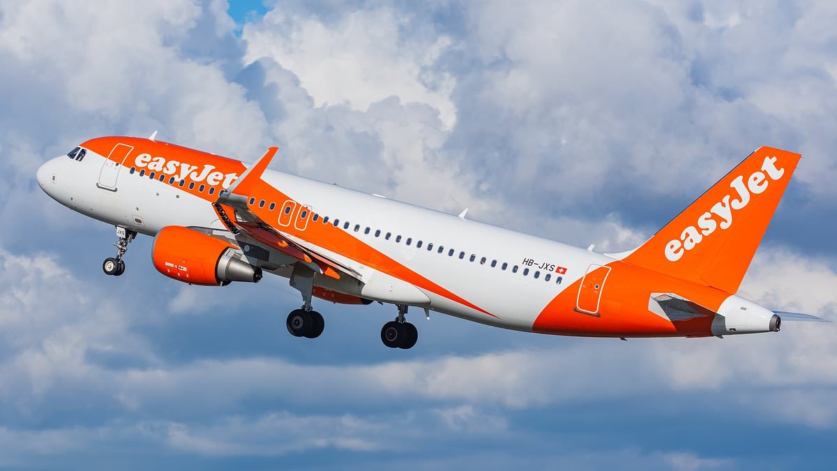 What aircraft do the most popular budget airlines use? From easyJet and Ryanair to Jet2 and British Airways