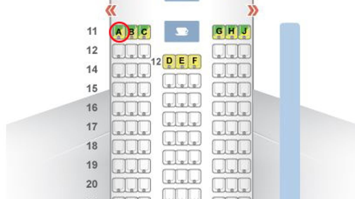 Experts reveal if seat 11A is really a 'miracle' spot where you're likely to survive crash after Air India horror
