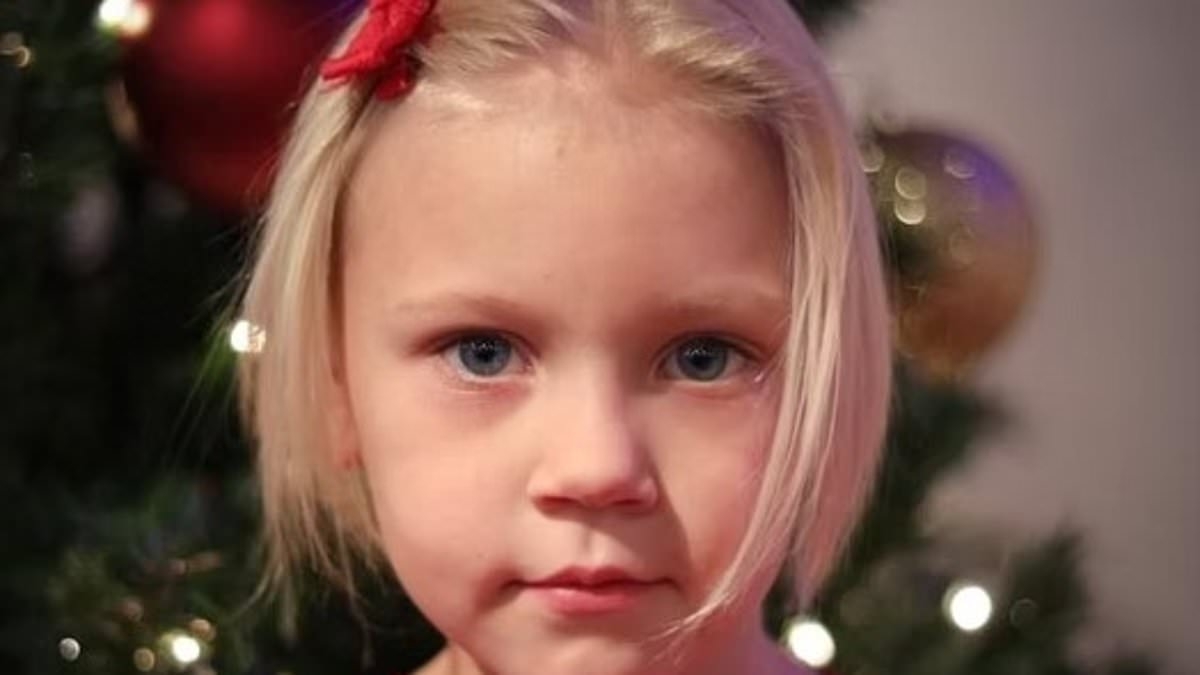 Father of missing Summer Wells tells of 'living nightmare' and reveals their home has been searched 11 times