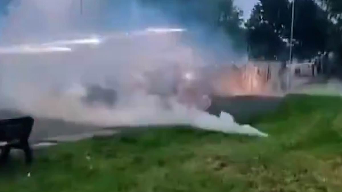 Petrol bombs and fireworks launched at police as Ballymena riots spread across Northern Ireland in fifth night of violence after 'alleged attempted rape of local girl, 16, by two Romanian teens'