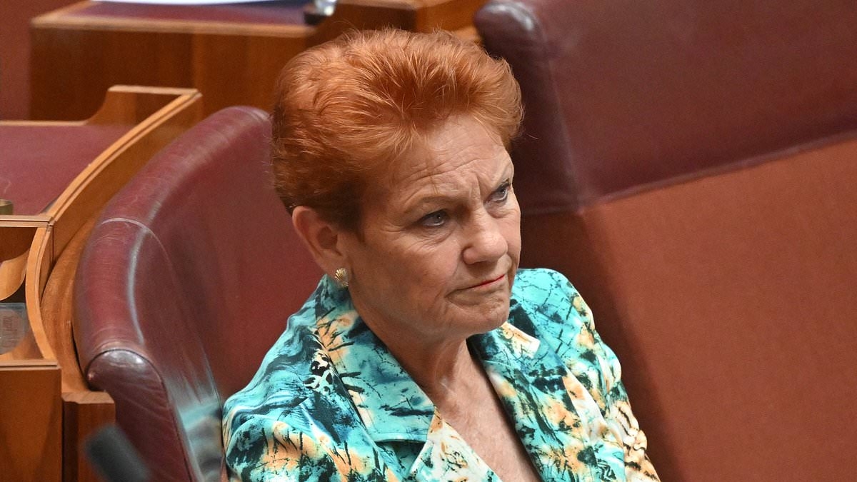 Pauline Hanson says she's 'never said anything racist' as she blasts state premier in fiery interview