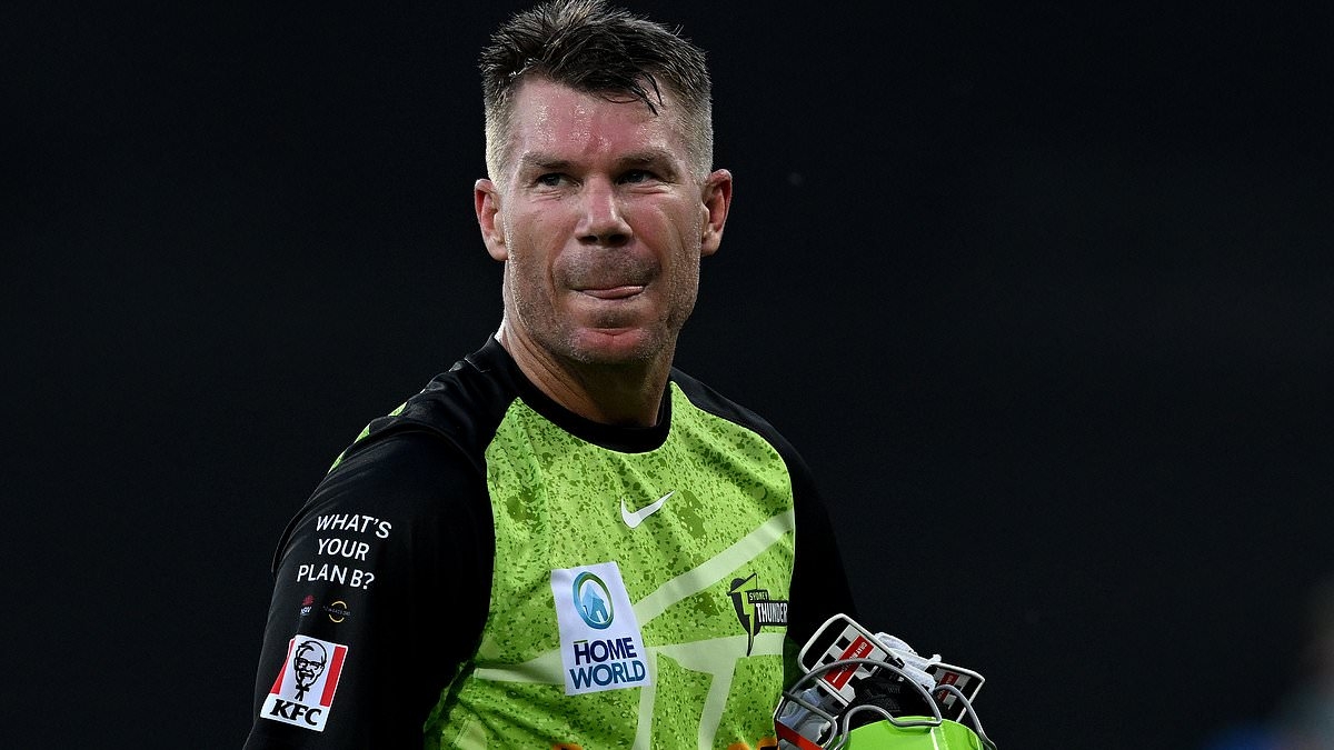 Aussie cricket star David Warner has vowed to NEVER fly with Air India again after plane crash disaster