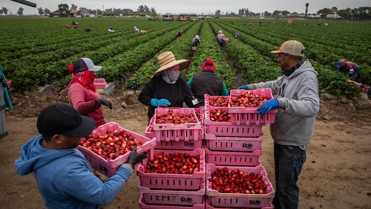Trump makes major U-turn on mass deportation policy that could affect thousands of businesses across country
