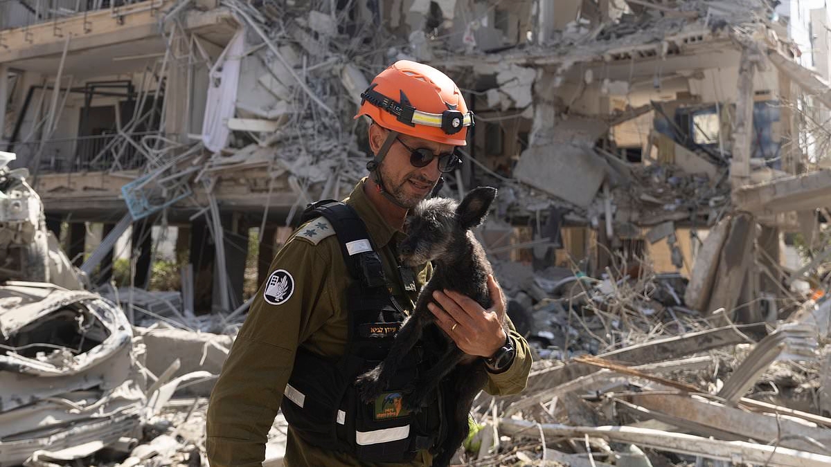 HAMISH MCRAE: Do markets accept ongoing conflict now as a fact of life?