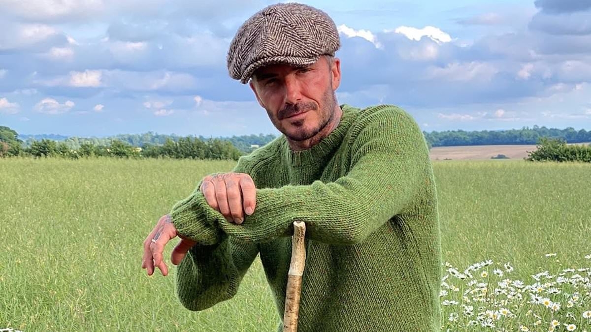 Sir David's VERY strong connection with King Charles and how he's defied merciless ribbing from close friends and even his wife to revel in his new found status as Lord Becks of Great Tew