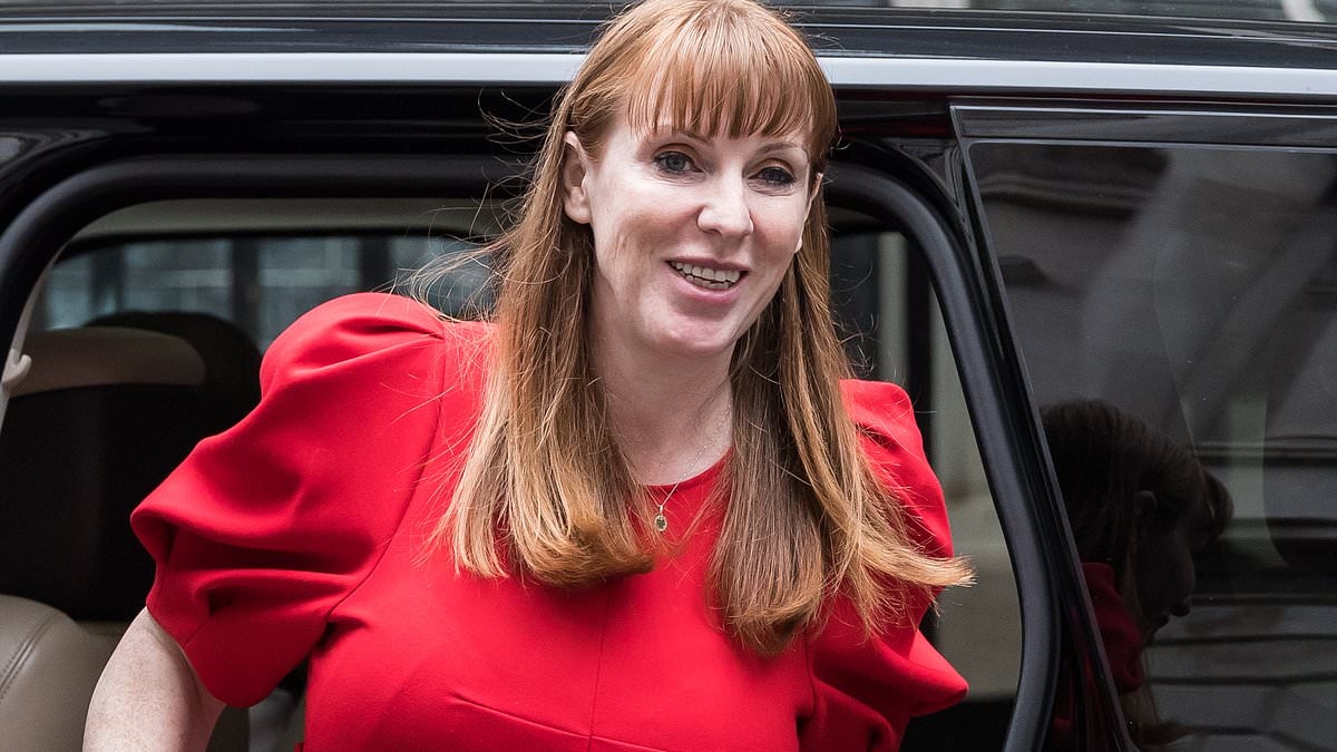 Return to the 1970s as Angela Rayner's law could see walkouts triggered by just 10% of workforce