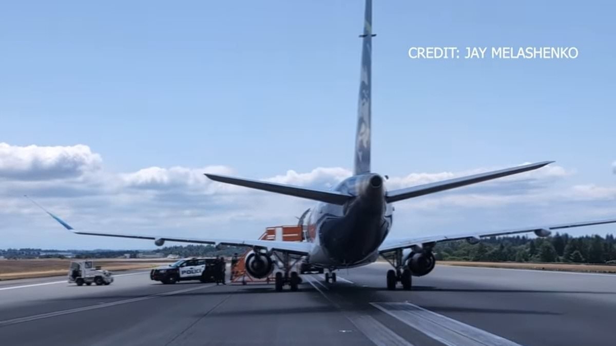 Alaska Airlines passenger causes ground stop at Seattle Airport after making 'direct threat' to plane