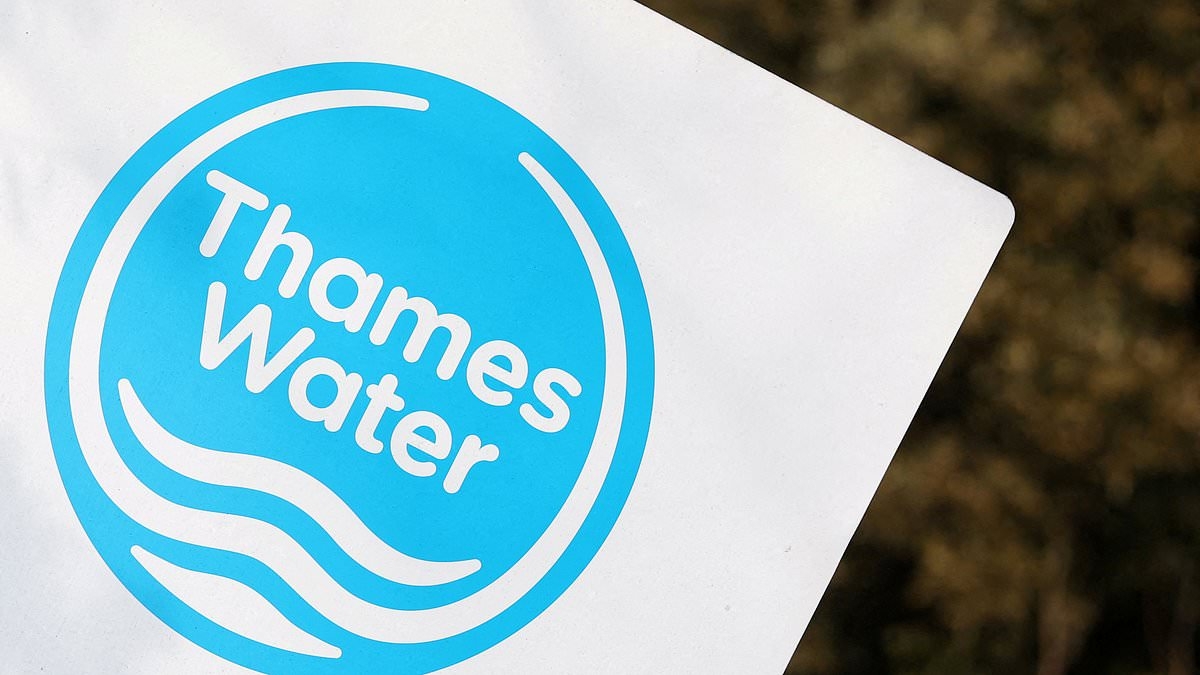 Thames Water investors beg Keir Starmer to step in and save debt-ridden water company from collapsing after clashing with Ofwat over future fines