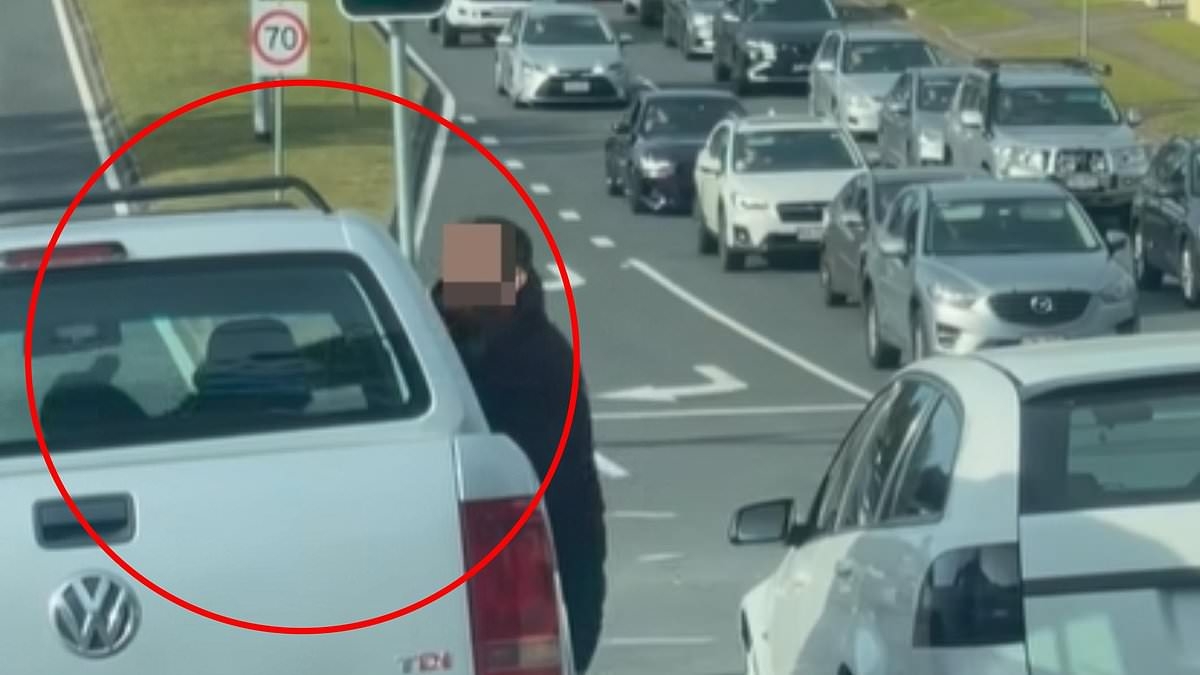 Wild moment two drivers launch into a fistfight at traffic lights in furious road rage incident before a high speed chase through the streets