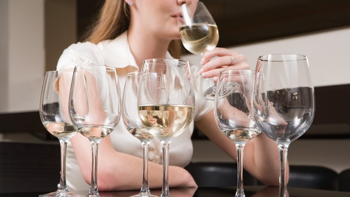 Solo traveller in Tenerife says her glass of wine 'disappeared' during dinner - after family at resort claimed they 'didn't want their children exposed to a woman drinking'