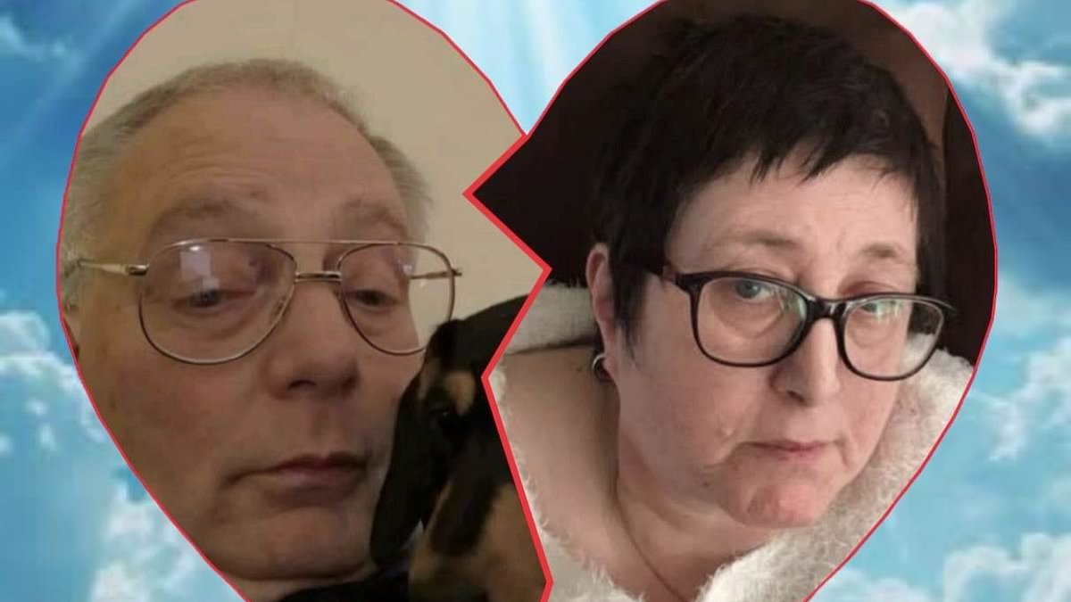 EXCLUSIVE Inside the struggles of the Isle of Wight cliff-top plunge couple: Friends and neighbours reveal the story of their final weeks - including one who caught a last glimpse before they fell 300ft to their deaths