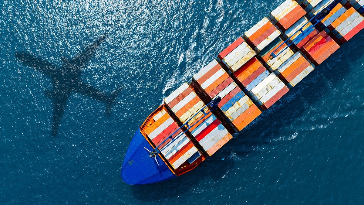 Exports to US fall as Donald Trump's tariffs bite