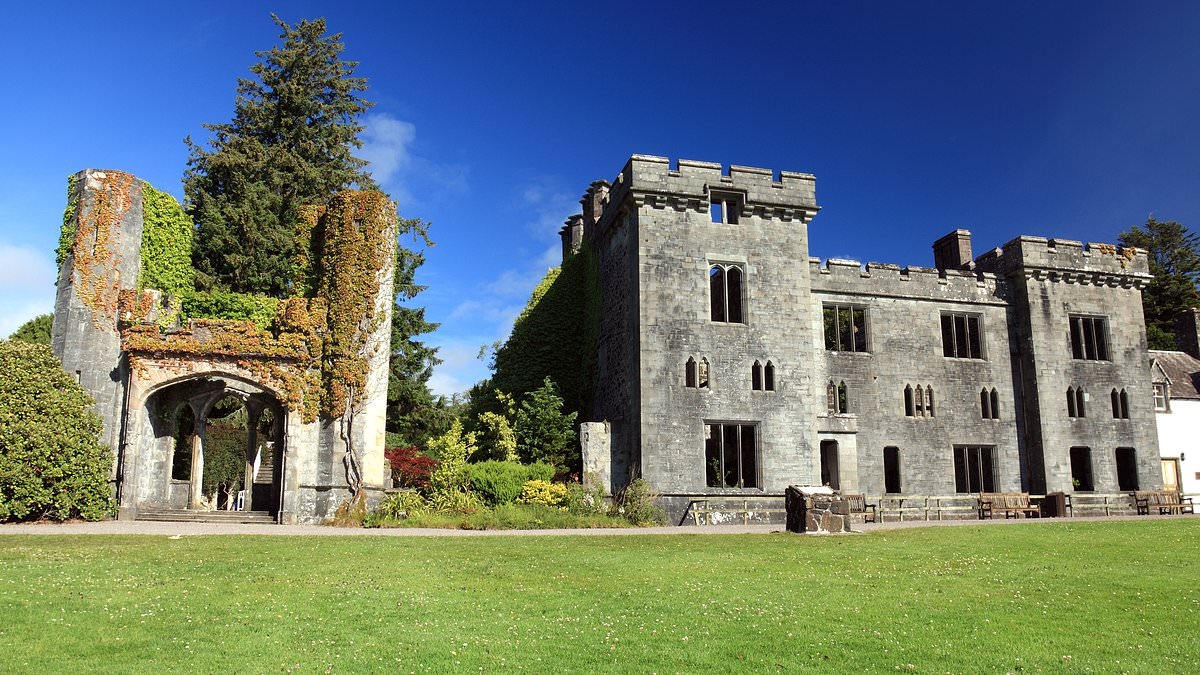 Historic island castle is on the market but furious clan members are plotting to block the sale