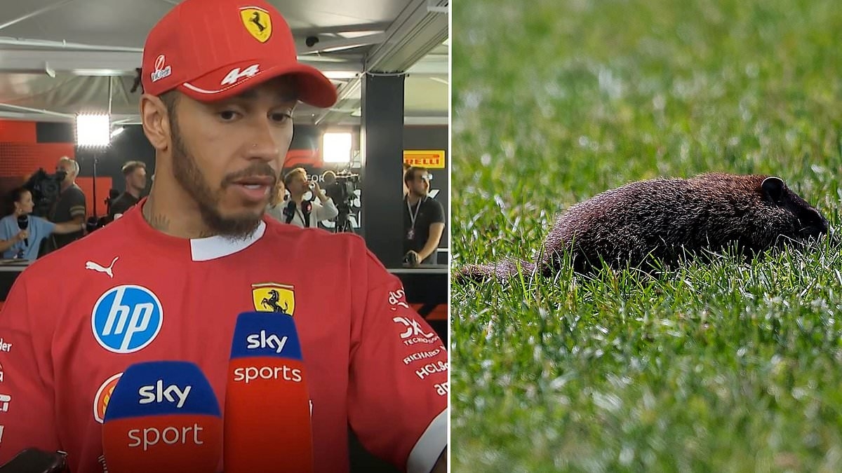 Lewis Hamilton 'devastated' after hitting furry animal with his Ferrari during Canadian Grand Prix
